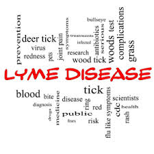 Stealth Infections including Lyme Disease can mimic Mold Toxin Illness